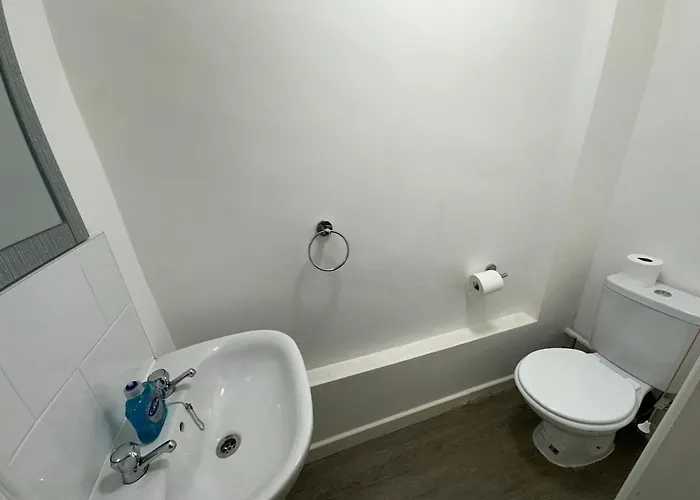 Large House Ideal For Work With Parking And Private Garden Holiday home